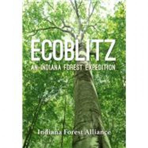 Ecoblitz